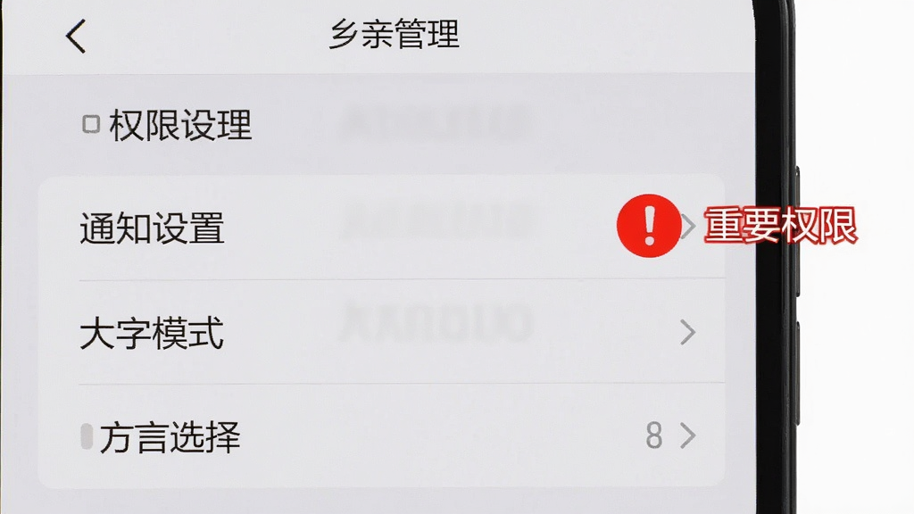 手机屏幕截图风格,画面展示“乡亲”App的设置界面,界面中清晰列出权限管理、通知设置、大字模式、方言选择等选项,旁边有一个红色感叹号图标标注“重要权限”字样,背景为浅灰色,布局为竖向排列,风格简洁直观,细节清晰,画质高清,干净,无多余元素