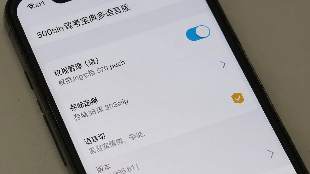 一部手机屏幕显示驾考宝典多语言版的设置页面,页面中有权限管理、存储选择、语言切换等选项,背景为浅灰色,布局为纵向列表,风格为手机系统设置界面写实,细节包括开关按钮、箭头图标、版本号显示,画质清晰,干净无多余元素,图中文字为“驾考宝典多语言版”