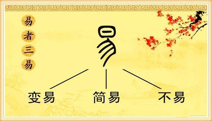 易罐安卓版 电子运单界面截图