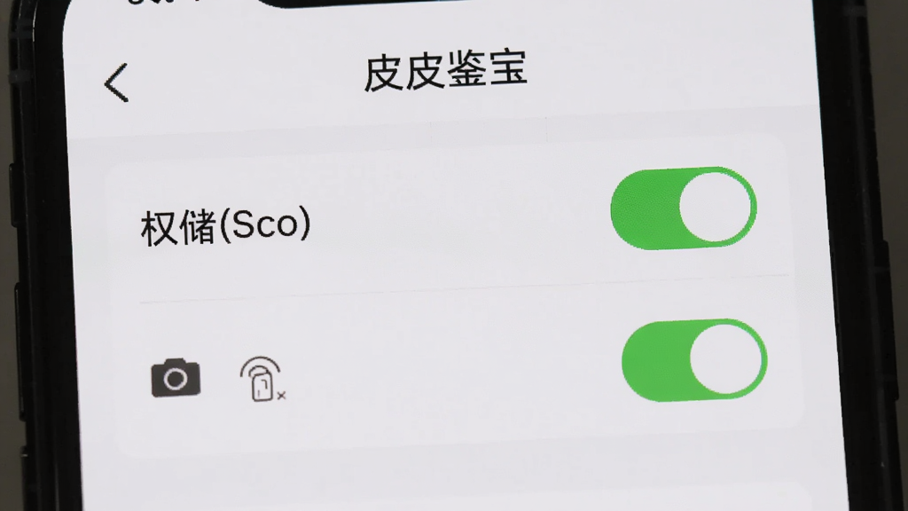 主体为一部手机显示皮皮鉴宝的权限设置页面,相机和存储权限开关为开启状态。布局为手机屏幕特写,居中放置。排版清晰,风格简约浅色。细节上开关按钮为绿色,页面顶部有