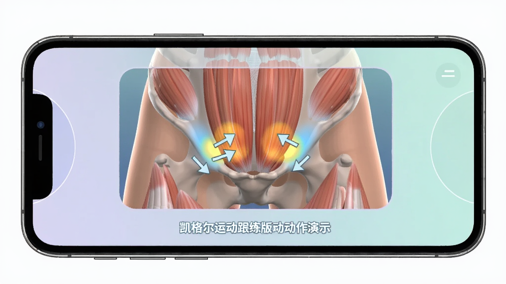 凯格尔运动跟练版动画动作演示界面图,主体为手机屏幕内显示人体盆底肌区域的3D透视图,布局居中,排版为动画演示窗口加文字说明,风格为医疗科普动画风,细节包括肌肉高亮显示、收缩箭头指示和柔和的色彩过渡,画质高清,干净,无多余元素