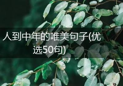 中年惜遇 人到中年珍惜每一次遇见的生活感悟配图