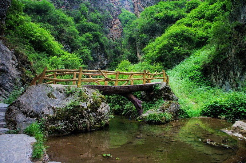 康养漳县遮阳山峡谷溪流避暑实拍