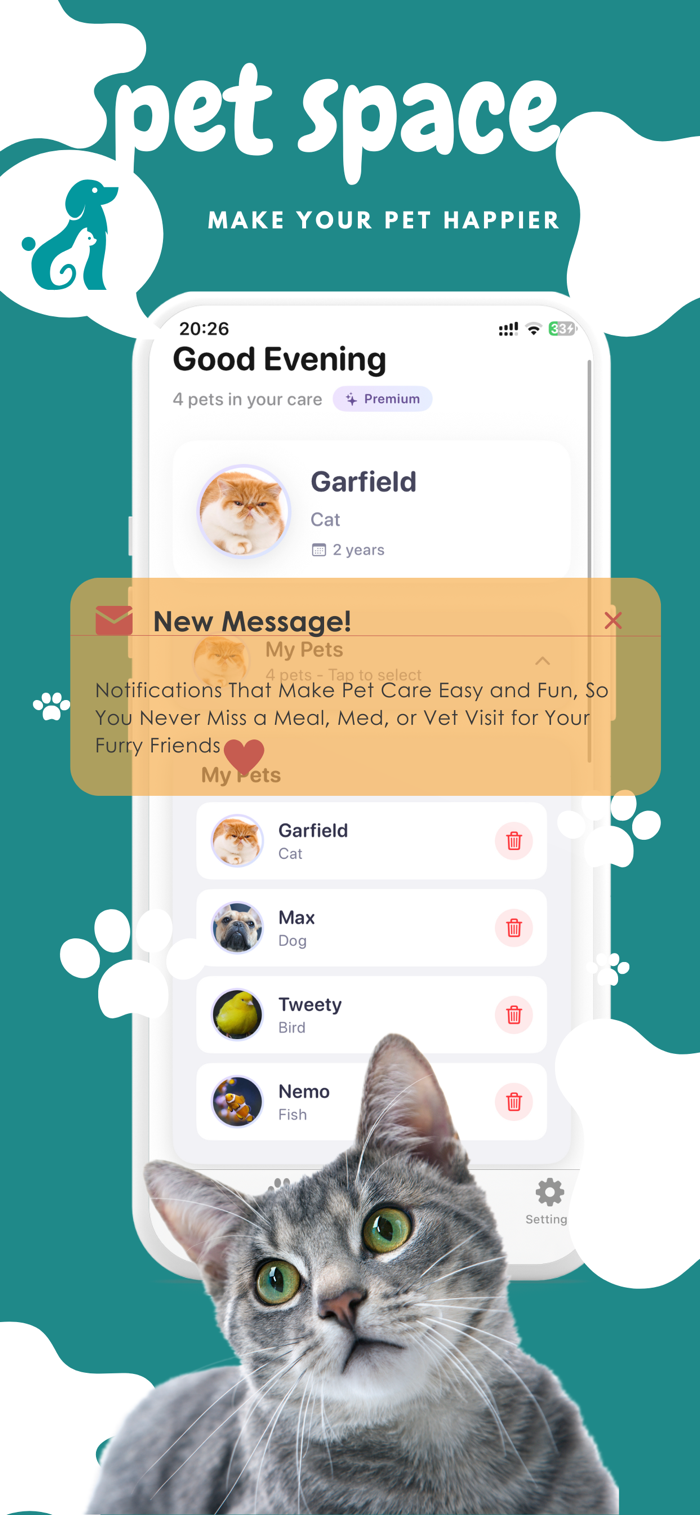 PetSpace安卓版游戏界面截图