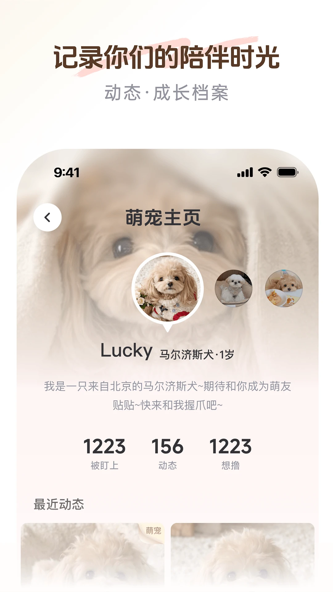 PetSpace2.5.0 �����������