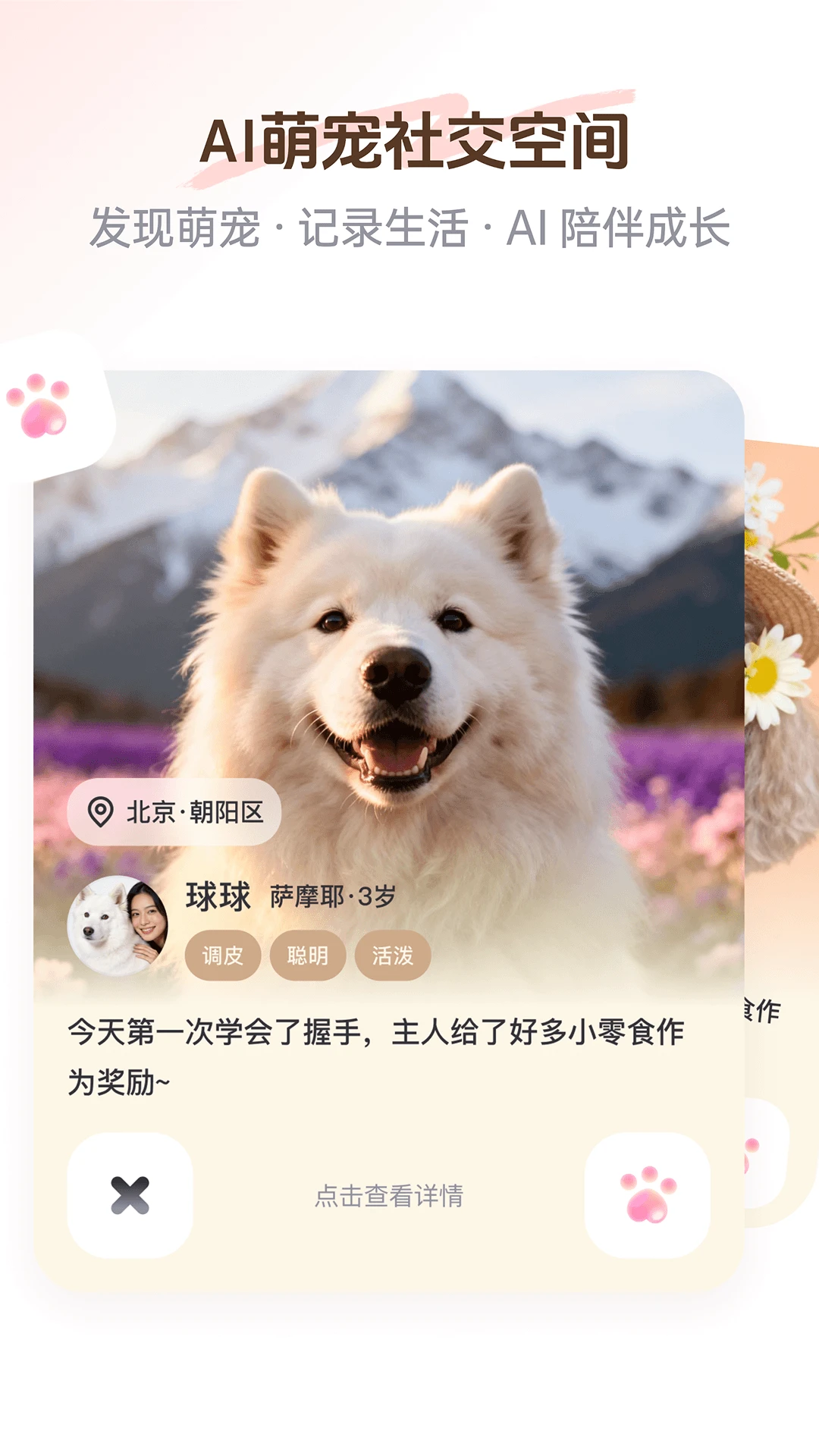 PetSpace2.5.0 �����������