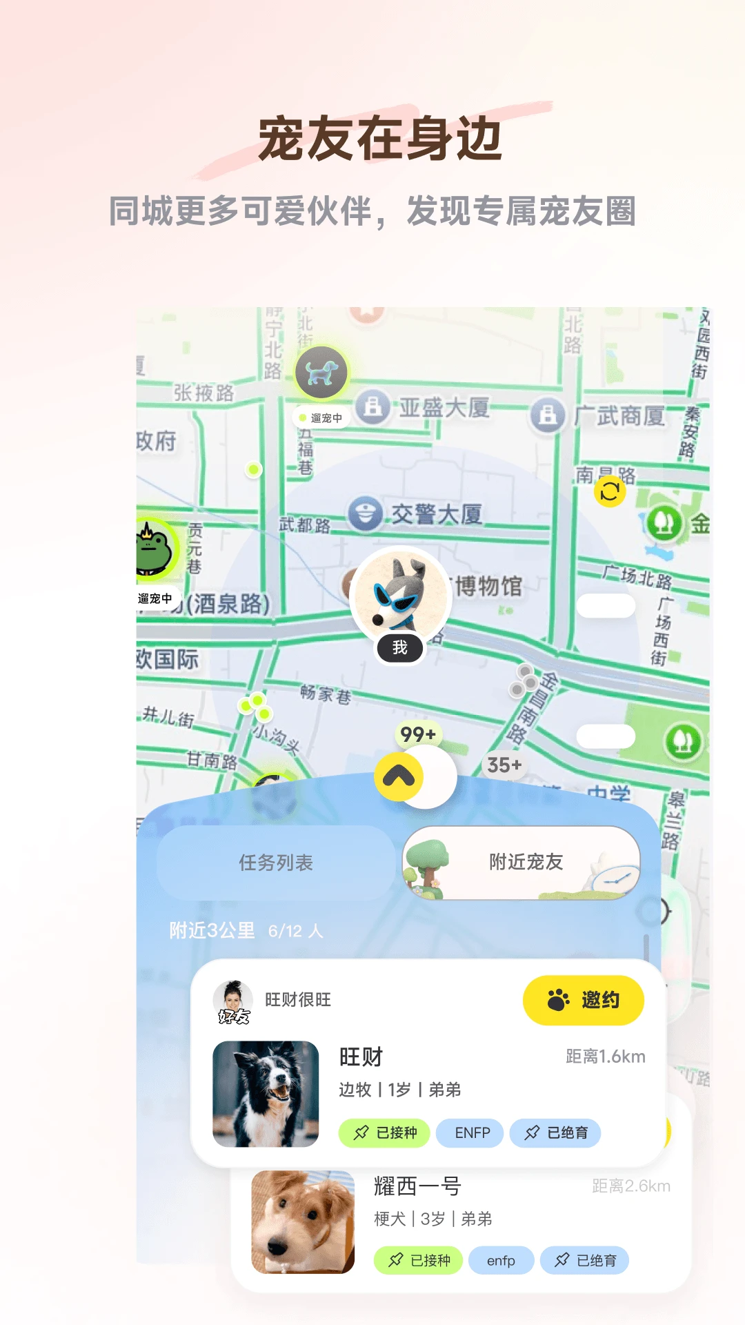 PetSpace2.5.0 �����������