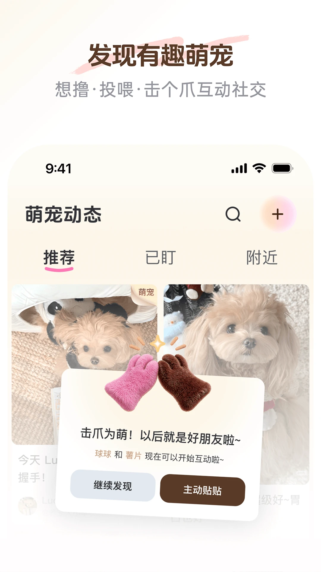 PetSpace2.5.0 �����������