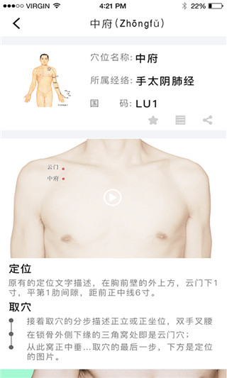 灸大夫 新手找穴位 常用穴位艾灸示意图
