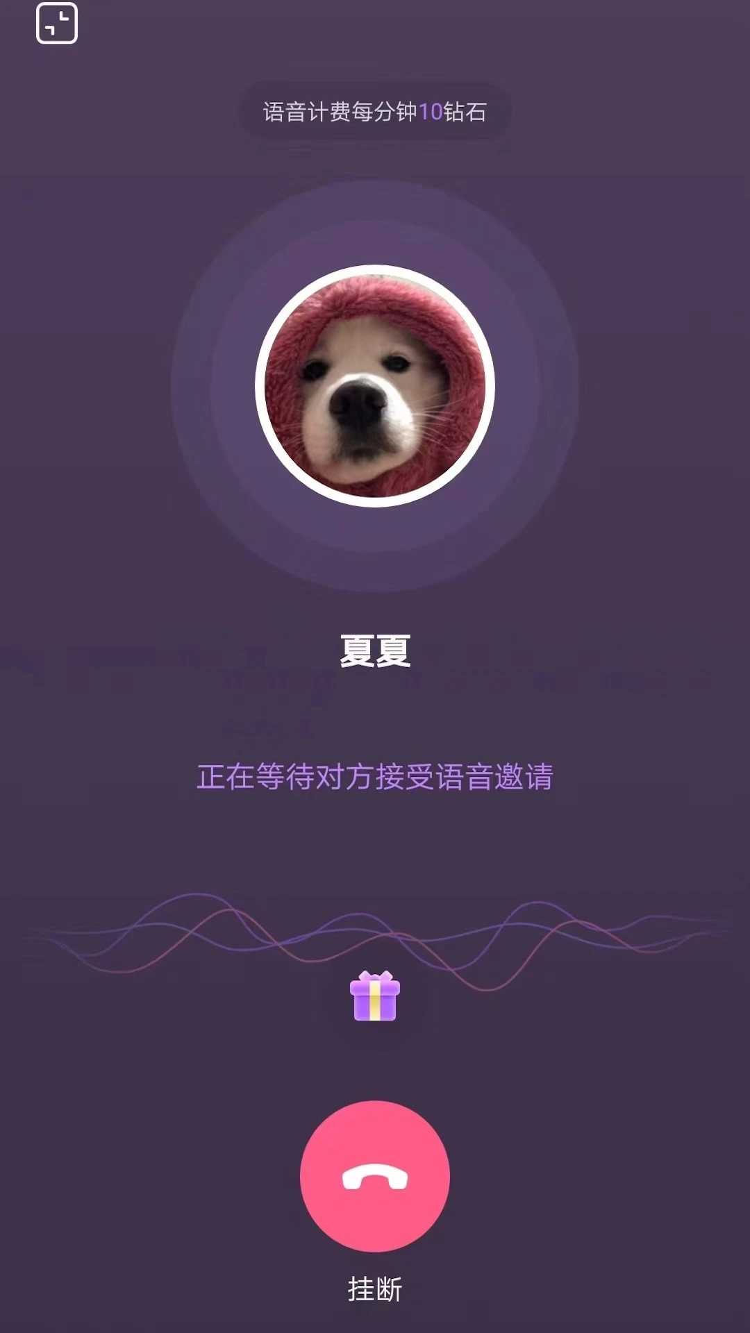����1.96 �罻����
