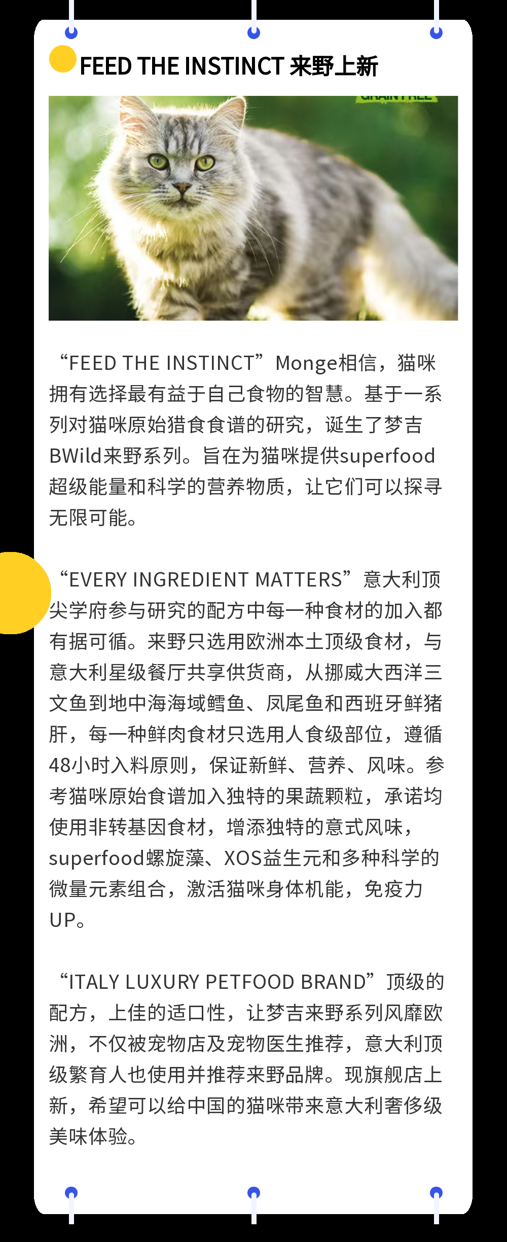 古力古利特色功能细节展示 古力古利使用场景配图