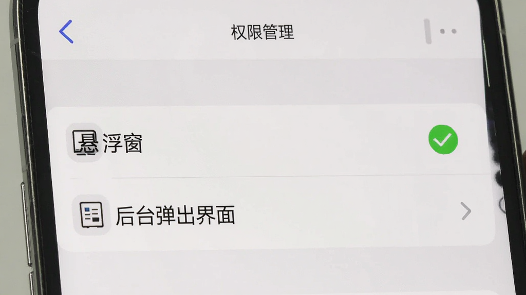 一张手机设置界面的图片,画面显示“权限管理”页面,列表中有“悬浮窗”和“后台弹出界面”两个选项,悬浮窗选项旁边有绿色对勾标记,整体风格简洁清晰,画质干净,图片中不出现任何文字