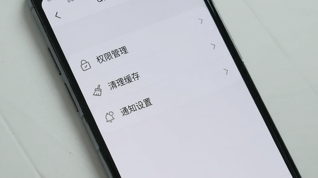 一部手机展示泛搭设置页面,屏幕上有“权限管理”“清理缓存”“通知设置”等选项列表,背景为浅灰色,界面排版整齐,风格简洁,画质清晰,干净无多余元素