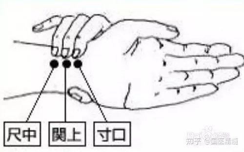 识脉 新手练习把脉的常见误区与正确手法