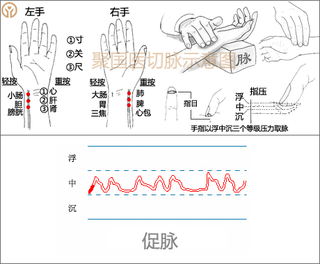 识脉 中医把脉入门基础手法与脉位示意图