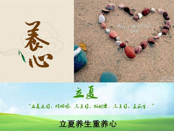 养心社 安卓版 界面截图
