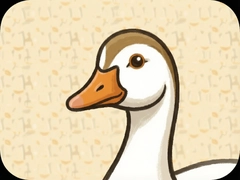С��������ô�ò�˳���⼸�����ؼ���Ҫ֪��
