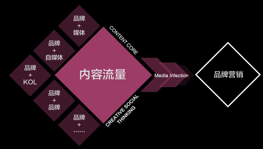 VVISH品牌产品线全貌与用户口碑汇总图