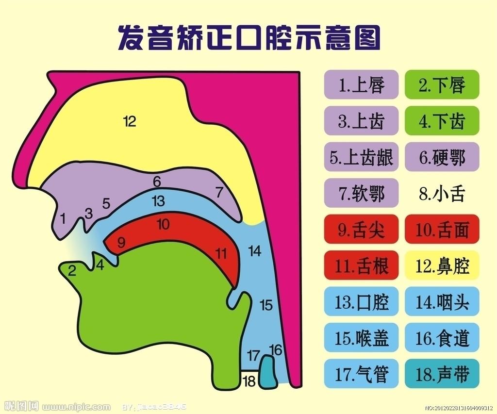 小马朗读 每日发音任务 平翘舌前后鼻音对比练习