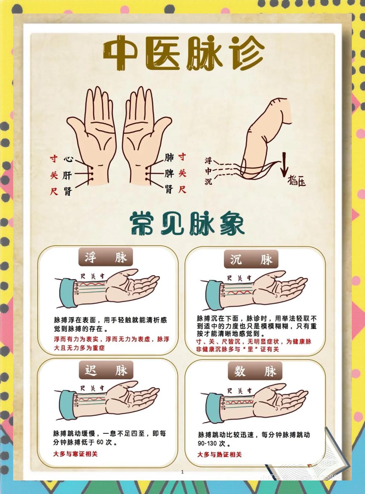 识脉入门技巧 脉象判断方法 新手摸脉练习场景图