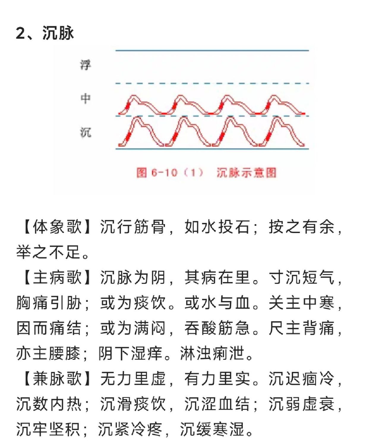 识脉 常见脉象对照 数脉滑脉涩脉示意配图