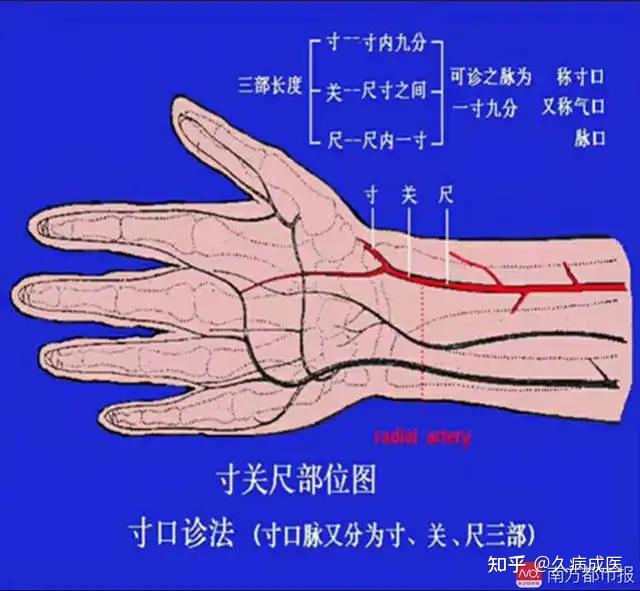 识脉 浮中沉三层取脉手法演示图