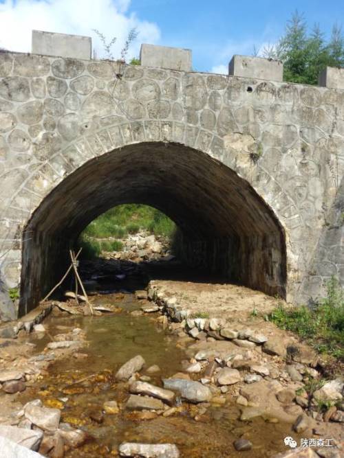 栖息地碎片化 生态廊道 濒危物种保护现场