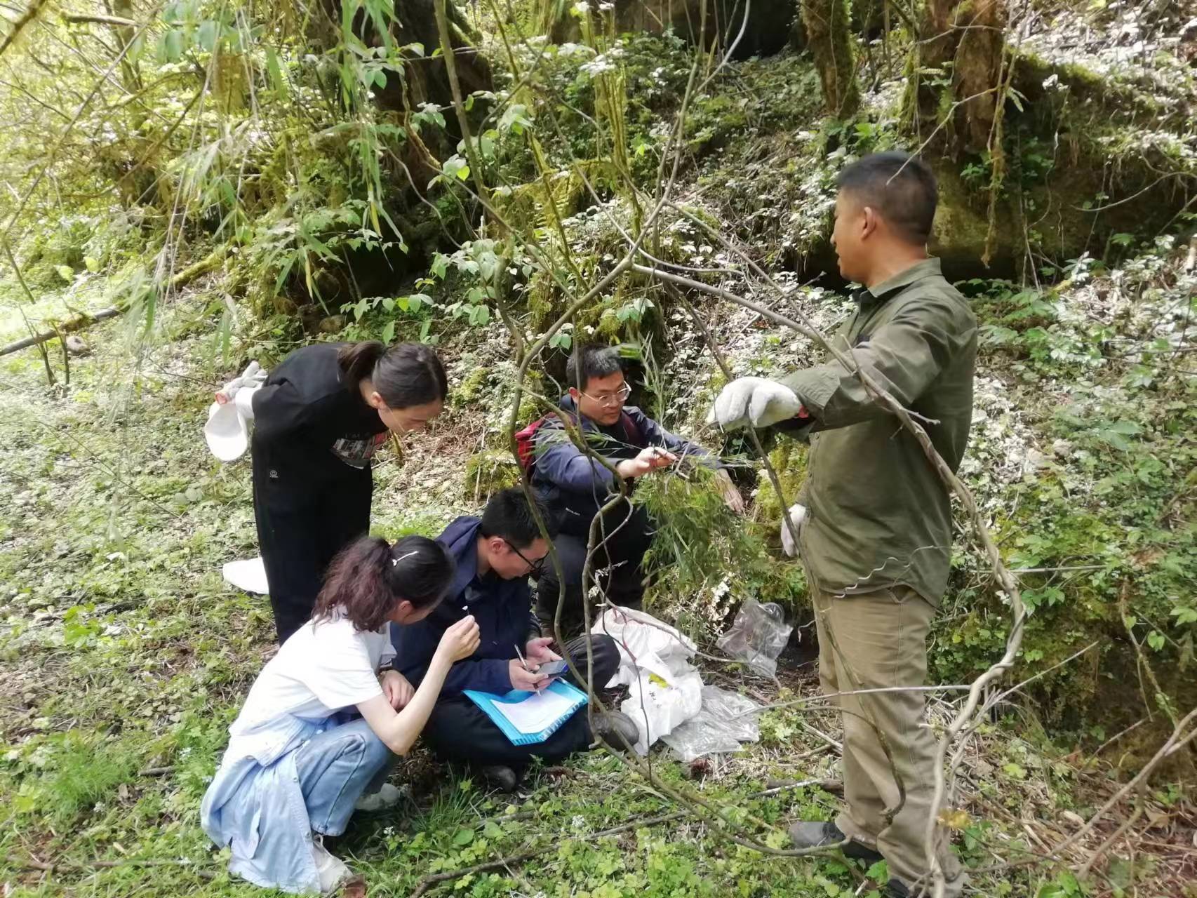 栖息地人为干扰 濒危物种繁殖区 保护巡护