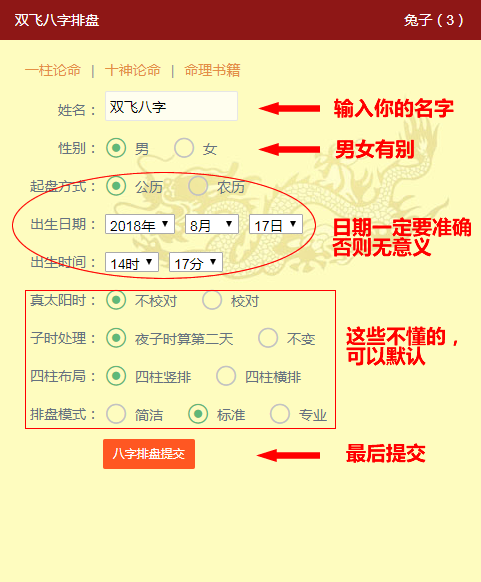 卜瓜(原南易排盘)排盘结果盘面展示与信息分区说明