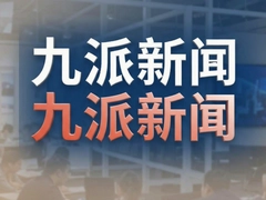 九派新闻最新报道今日热点事件追踪