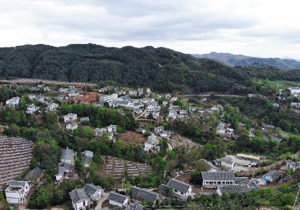 海雀村现在的村容村貌和村民生活场景