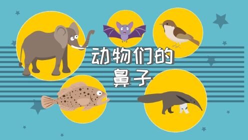 好奇动物 动物身体构造冷知识配图 蜗牛牙齿大象鼻子