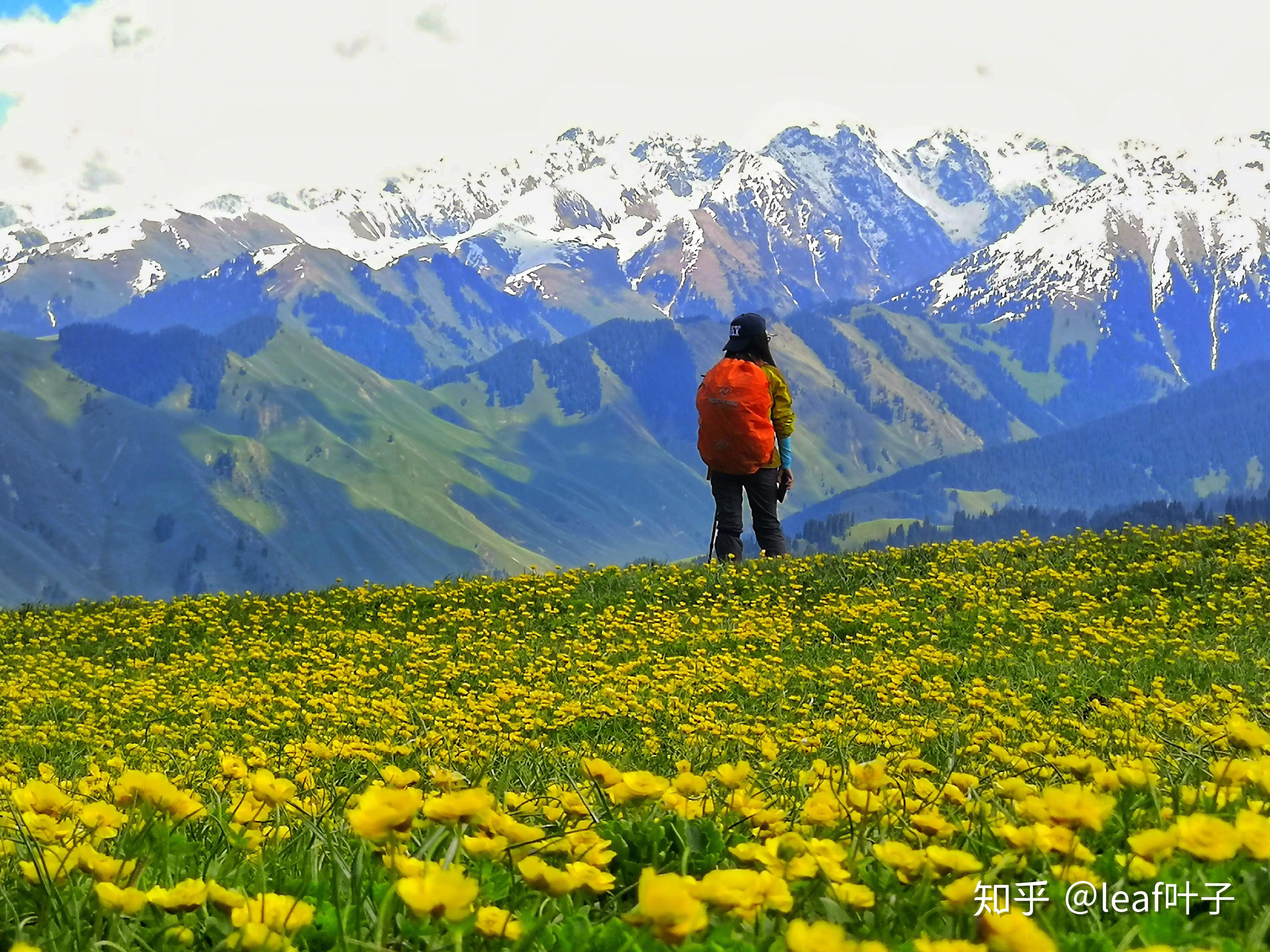 美丽伊犁喀拉峻草原夏塔古道徒步