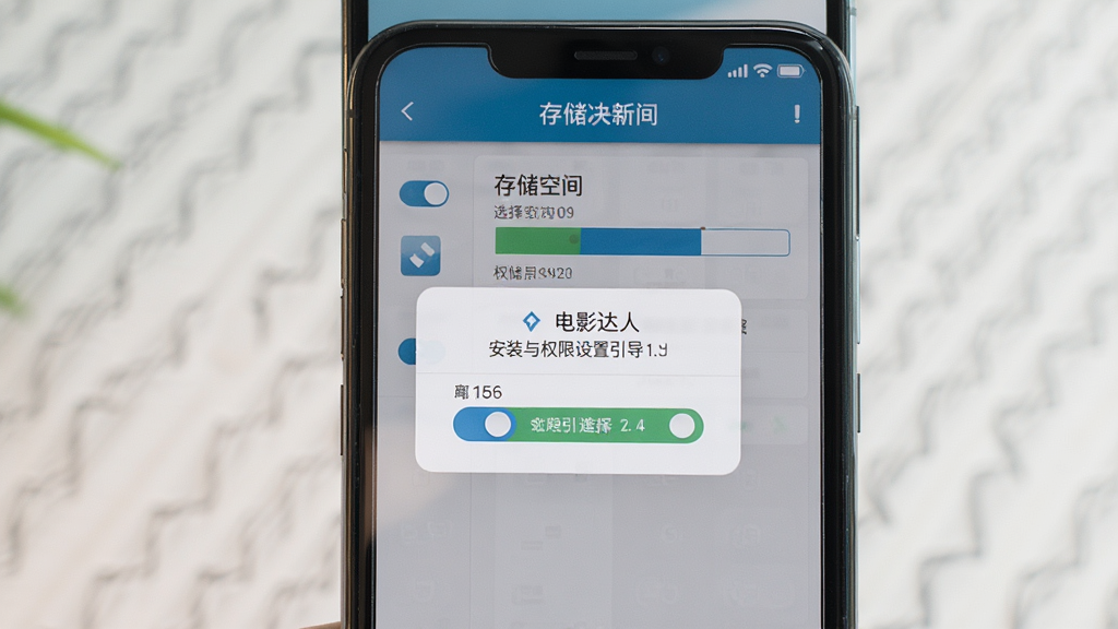 一张电影达人应用安装与权限设置引导页面的场景图,画面主体为手机屏幕,屏幕内展示权限授权弹窗与存储空间选择界面,布局为上下分栏,风格清晰直观,细节包括权限开关图标与存储条状图,画质干净清晰,无多余元素