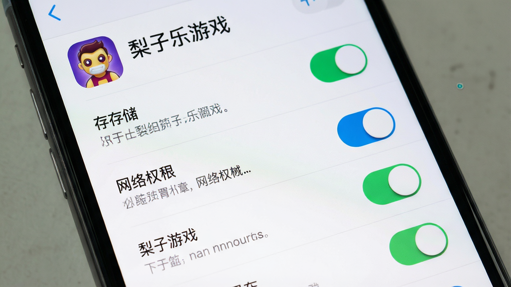 一张表现手机安装应用权限设置界面的写实图片,主体为手机屏幕内权限开关列表,布局上开关纵向排列、顶部有“梨子乐游戏”应用名称,风格简洁明了,细节包含存储、网络权限开关与提示文字,画质清晰干净,无多余元素