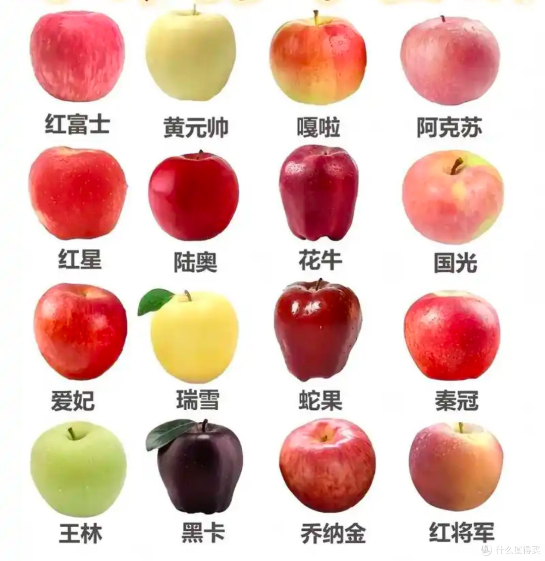 代号:神灯 安卓版 游戏界面
