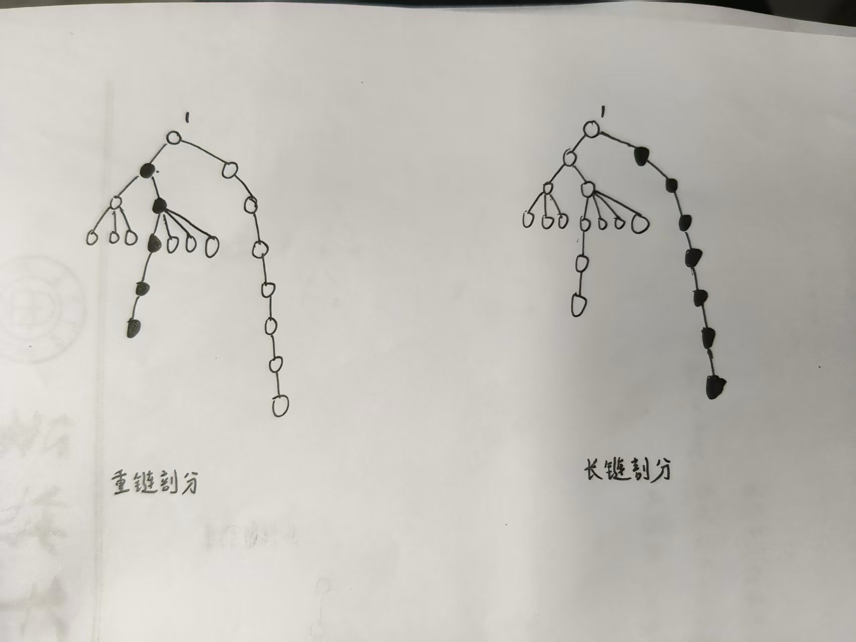 丰链艺树链上生长玩法状态变化过程配图