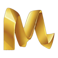 Mindway Pro