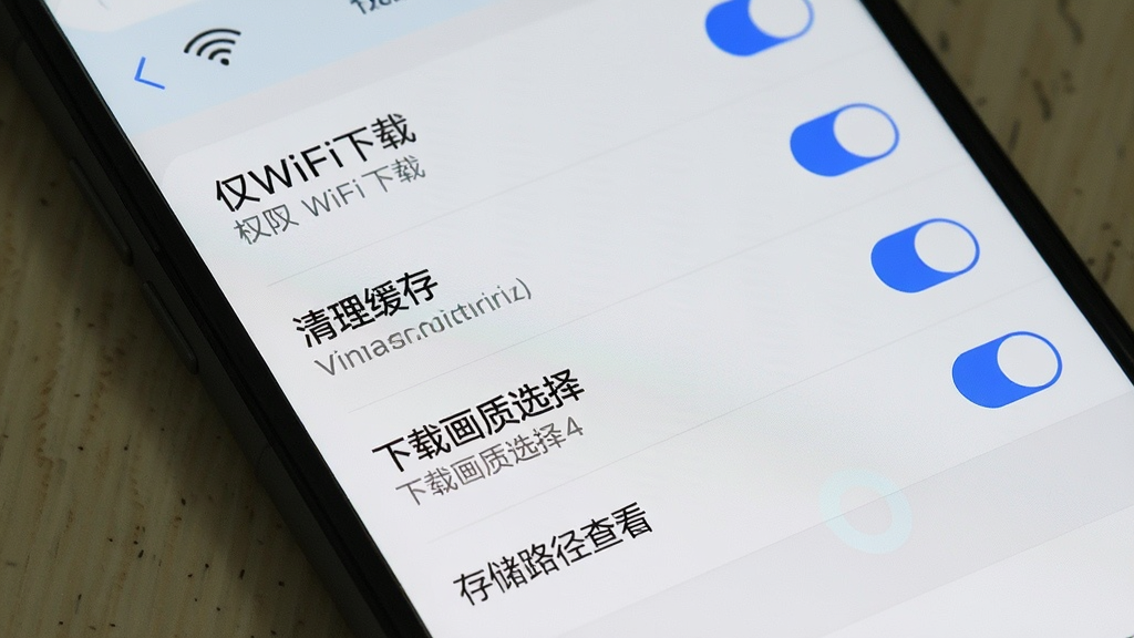一张手机屏幕展示桌面壁纸应用设置页面的图片,画面中包含“仅WiFi下载”“清理缓存”“下载画质选择”“存储路径查看”等设置选项,界面采用分组列表布局,配色为浅色背景搭配蓝色开关按钮,风格简洁实用,细节上突出权限与存储管理相关选项,画质清晰,干净,无多余元素