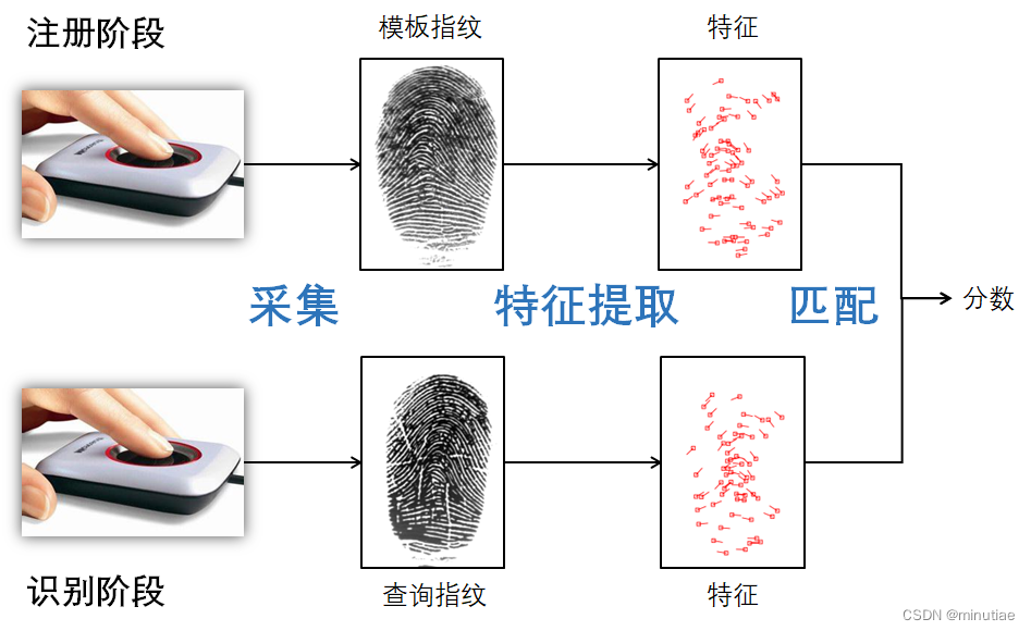 指纹浏览器指纹参数真实度检测配图