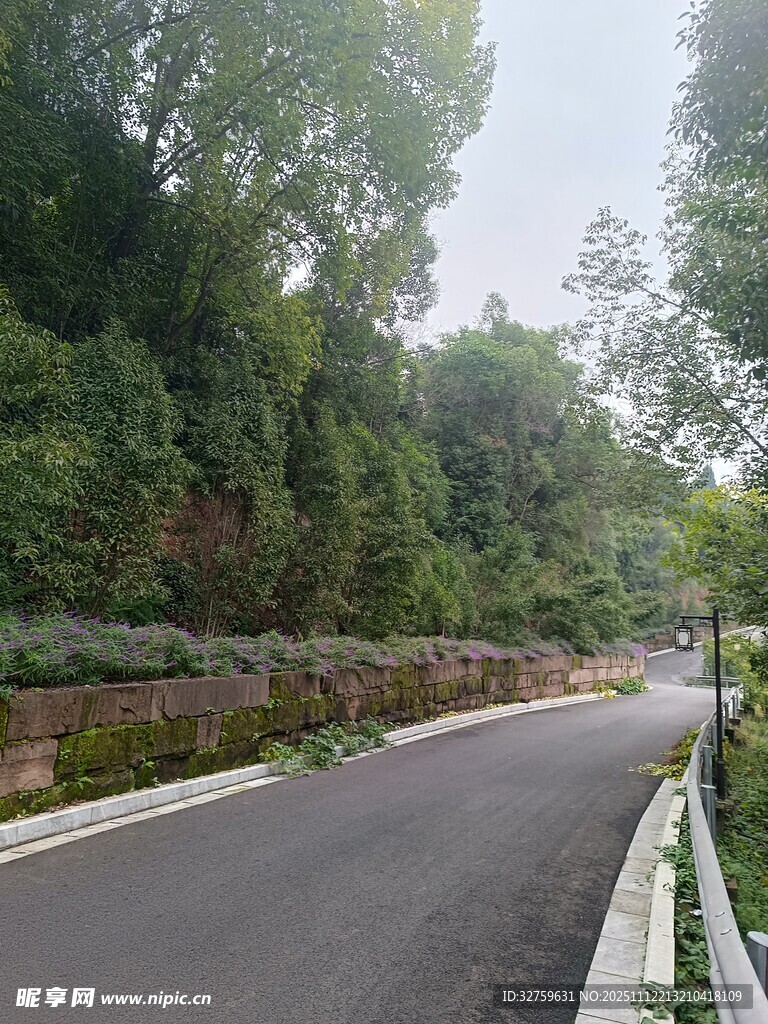 兜风 林间公路自驾清凉