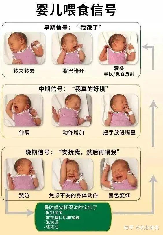 家和康育喂养信号观察方法配图