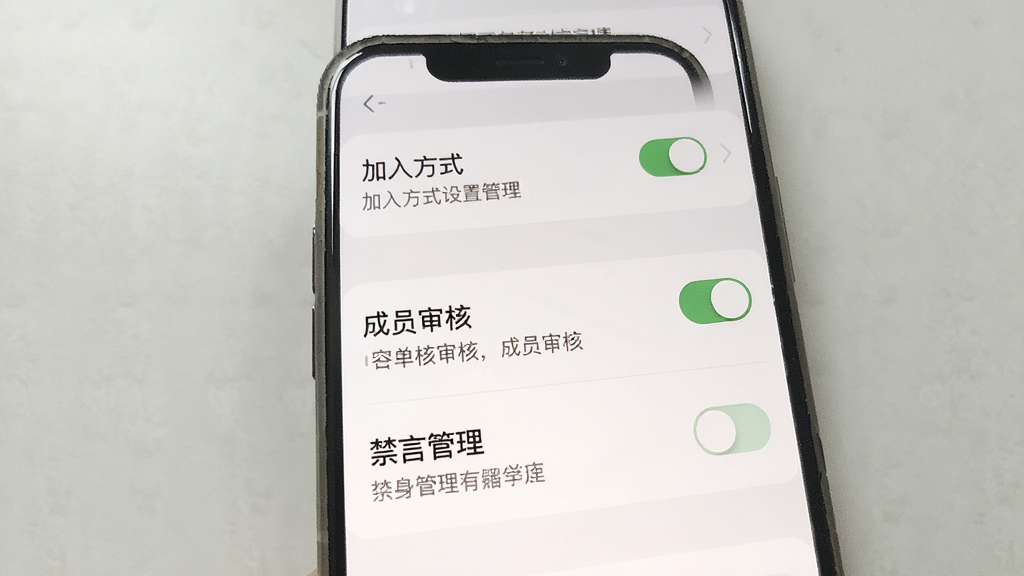 一张展示圈子管理设置页面的界面图,画面主体为手机屏幕,布局为纵向设置列表,包含“加入方式”“成员审核”“禁言管理”等条目,风格素雅极简,细节包含开关控件与说明文字,画质清晰干净,无多余元素