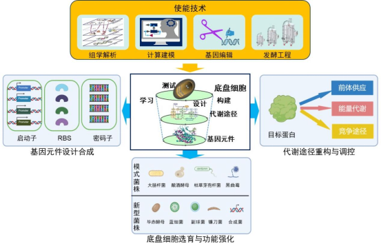 千寻电视直播安卓版界面