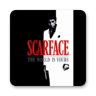 ����ɷ�ǣ�����������(Scarface: The World Is Yours)
