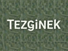 Tezginek���������Ѷ��ʵ����Ϣ����