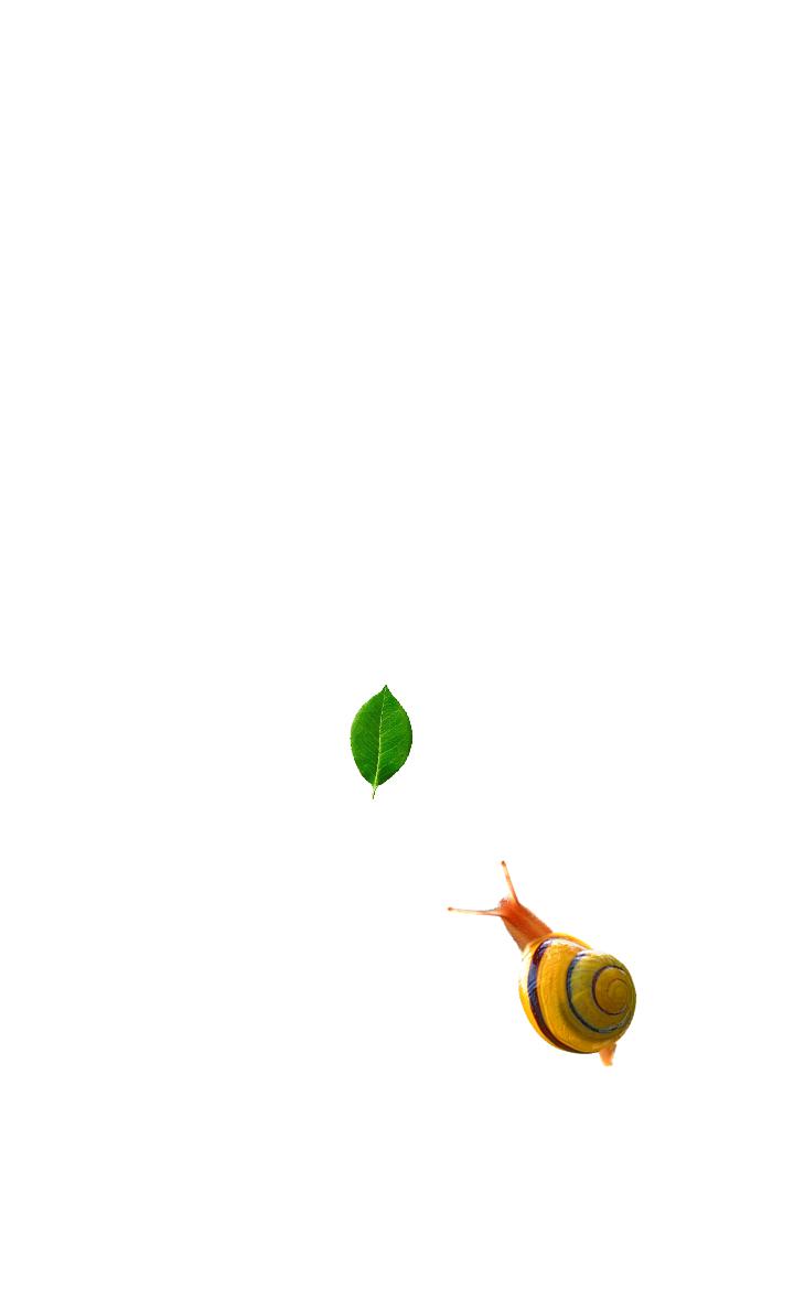 Snail聚合浏览器 安卓版 界面操作