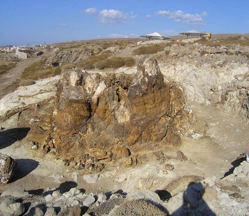 Lesbos 石化森林 Petrified Forest 自然景观 步道