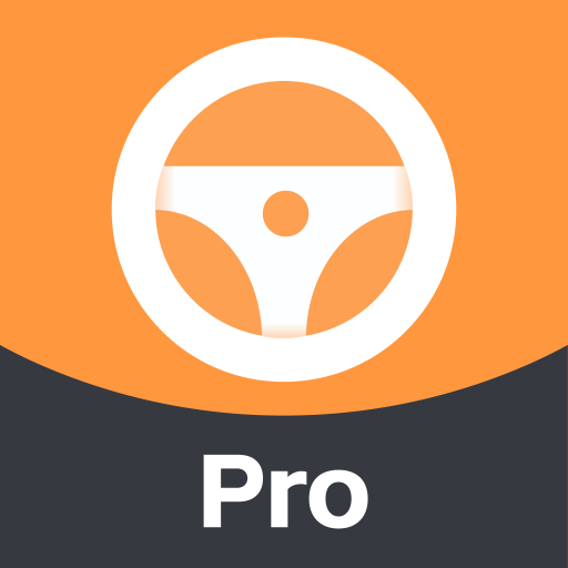��������Pro