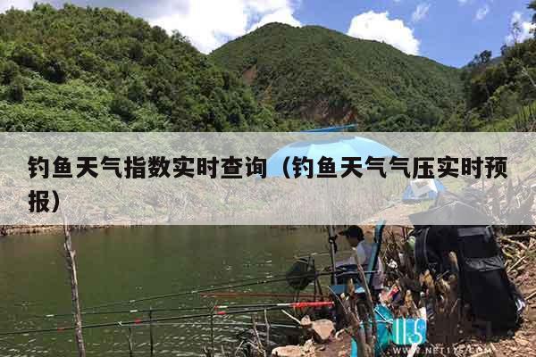 历史天气查询钓鱼指数 钓友根据历史天气数据选钓位出钓的实拍图